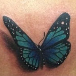 Meet your Posher, Norma